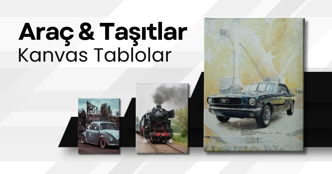 Araç & Taşıtlar