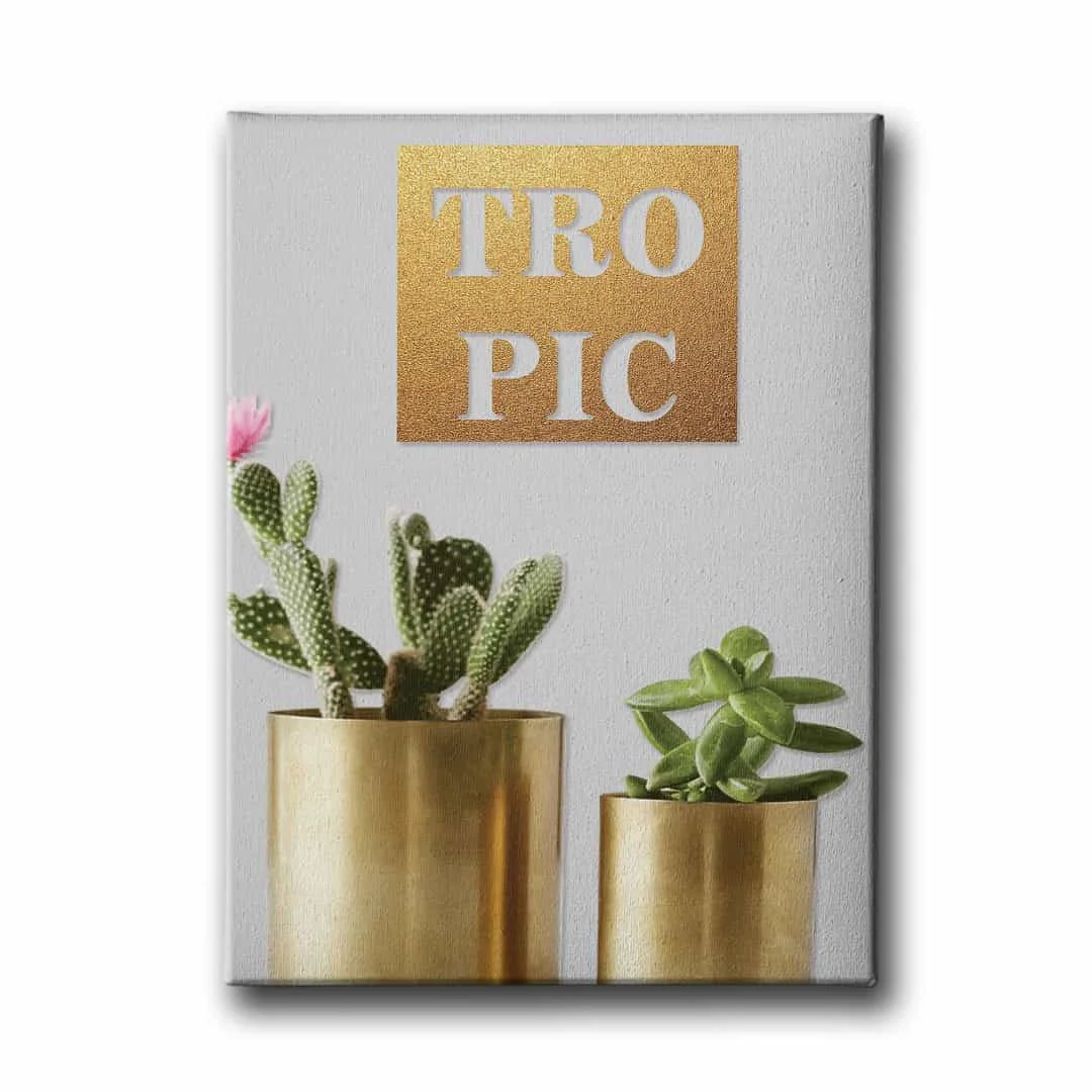 Kaktus Canvas Tablo