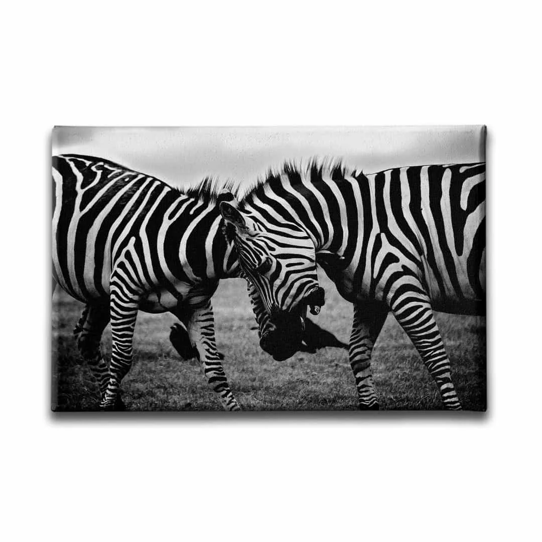 Zebra Kanvas Tablo