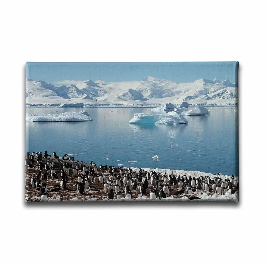 Penguen Kanvas Tablo