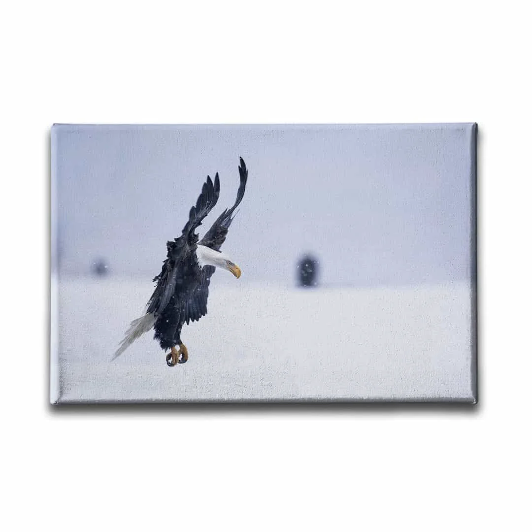 Kartal Kanvas Tablo