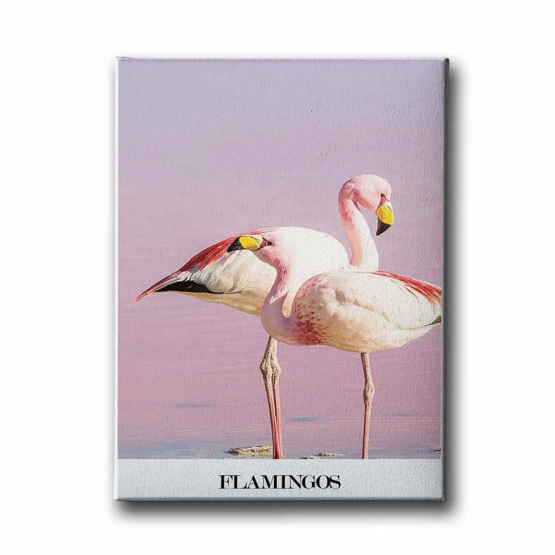 Flamingo Canvas Tablo